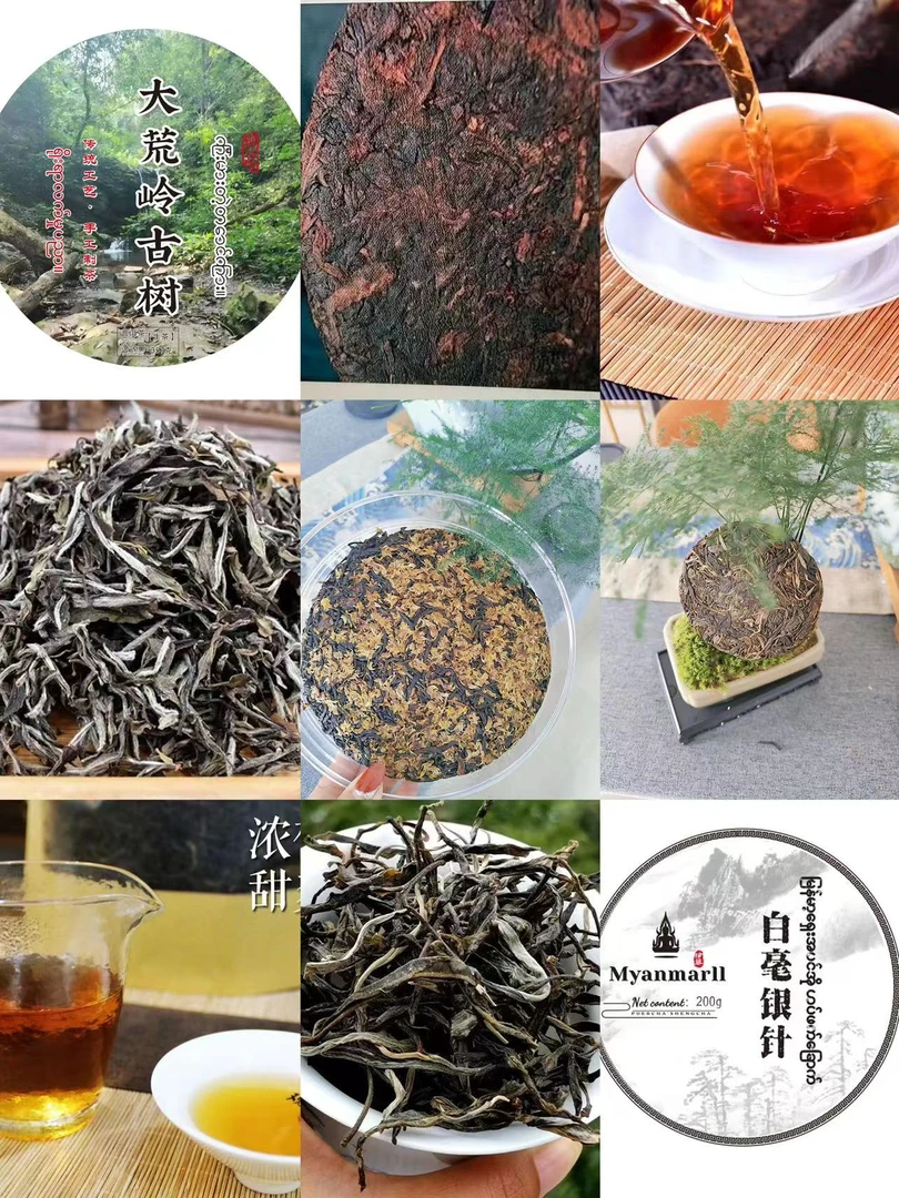 布罗陀缅甸正宗黑哥优选茶香清香清甜透亮醇厚采摘甘甜
