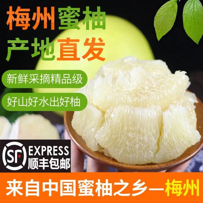 顺丰包邮梅州柚子三红蜜柚50斤新鲜孕妇水果白心蜜柚红心红肉当季