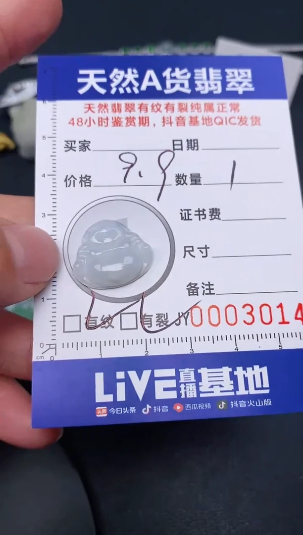 【闪购商品】翡翠颈饰未镶嵌
