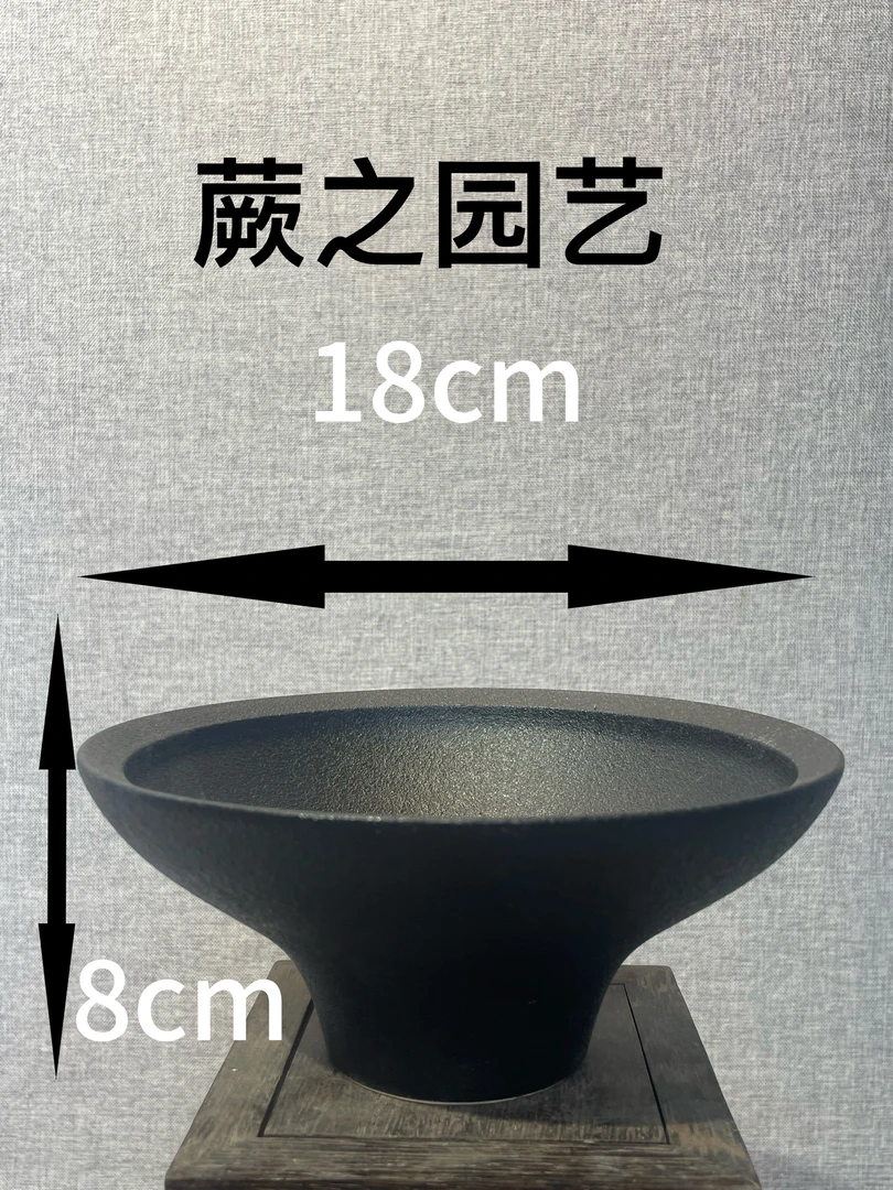 水培圆形复古盆器蕨类植物