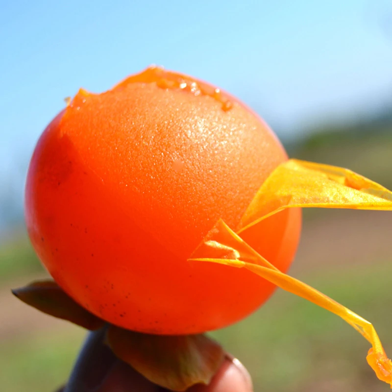 陕西临潼火晶柿子 新鲜应季甜糯软柿子当季水果非硬柿子