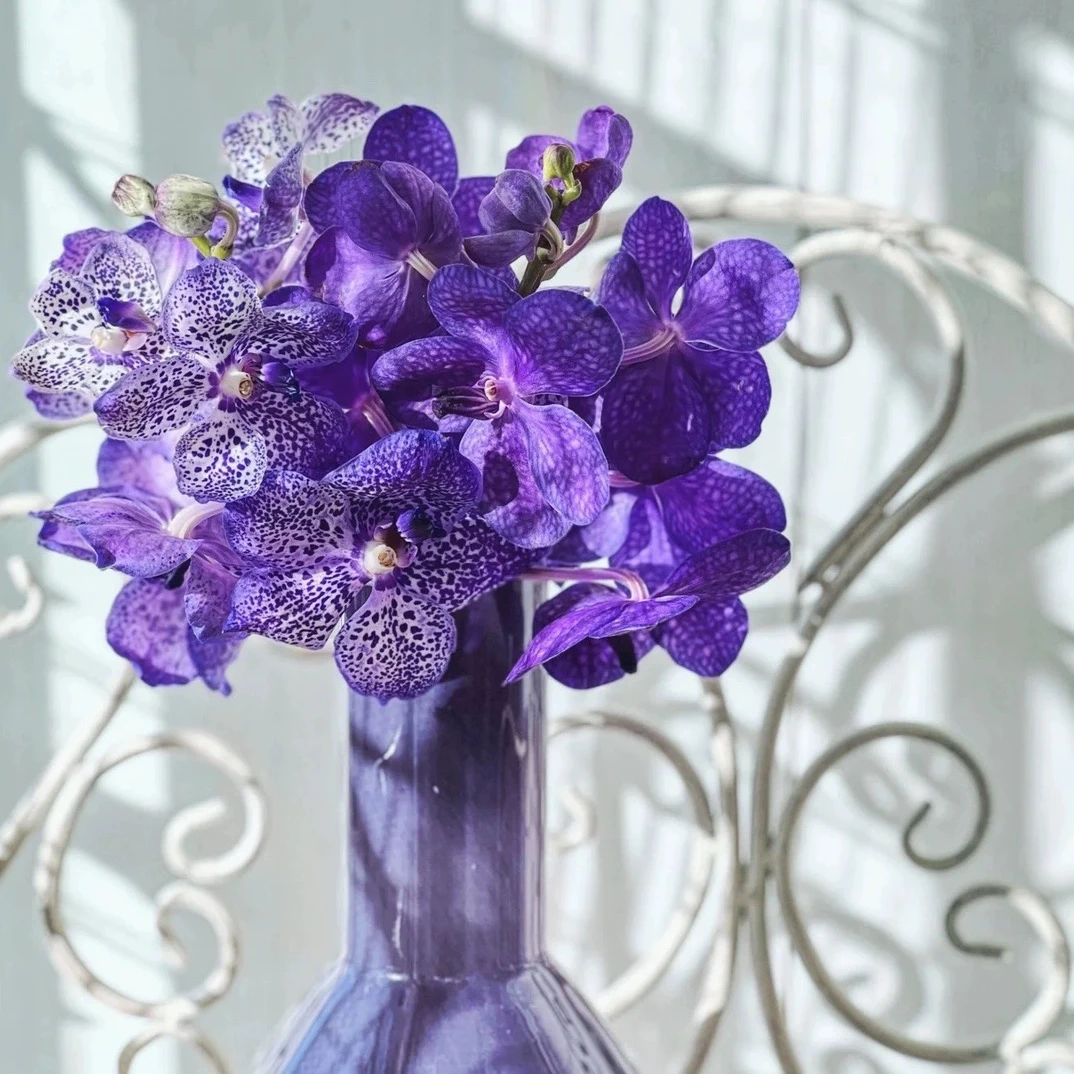 ［文静福利]3新款时尚百搭质量非常好上衣