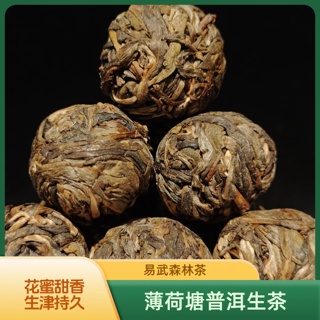 2020年薄荷塘普洱茶生茶 Ⅲ类 易武森林茶小众山头茶 甜香顺滑通透