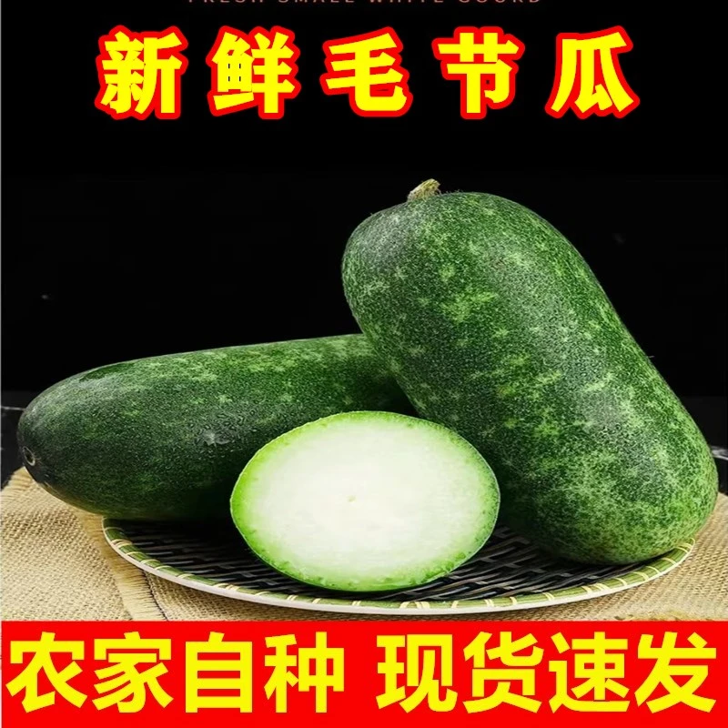 广西新鲜毛节瓜迷你小冬瓜小毛瓜新鲜农家蔬菜特产3/5斤现货包邮