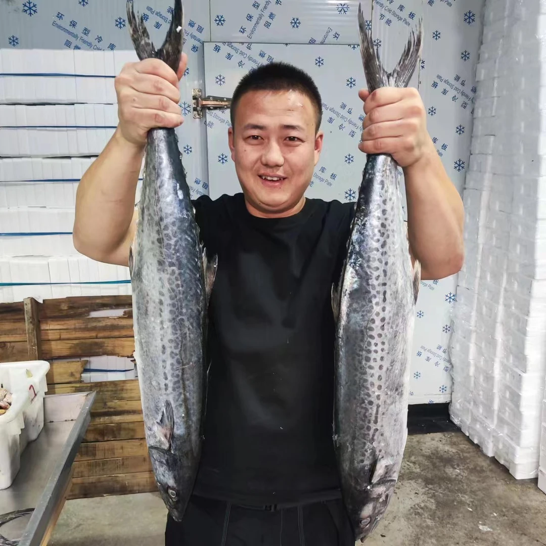 【大鲅鱼】新鲜大连杏树屯大燕鲅4-12斤一条速冻发货顺丰包邮易破肚