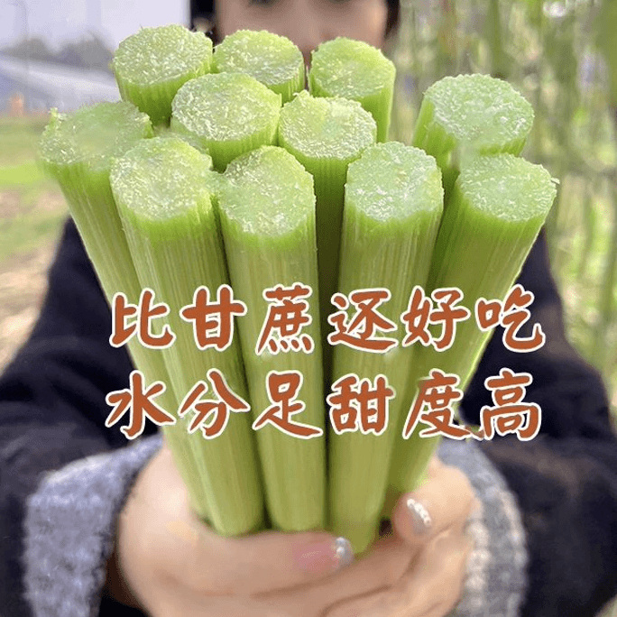 甜杆籽高糖甜杆种子甜杆种子北方甜王爆甜黑穗甜杆小甘蔗爆甜