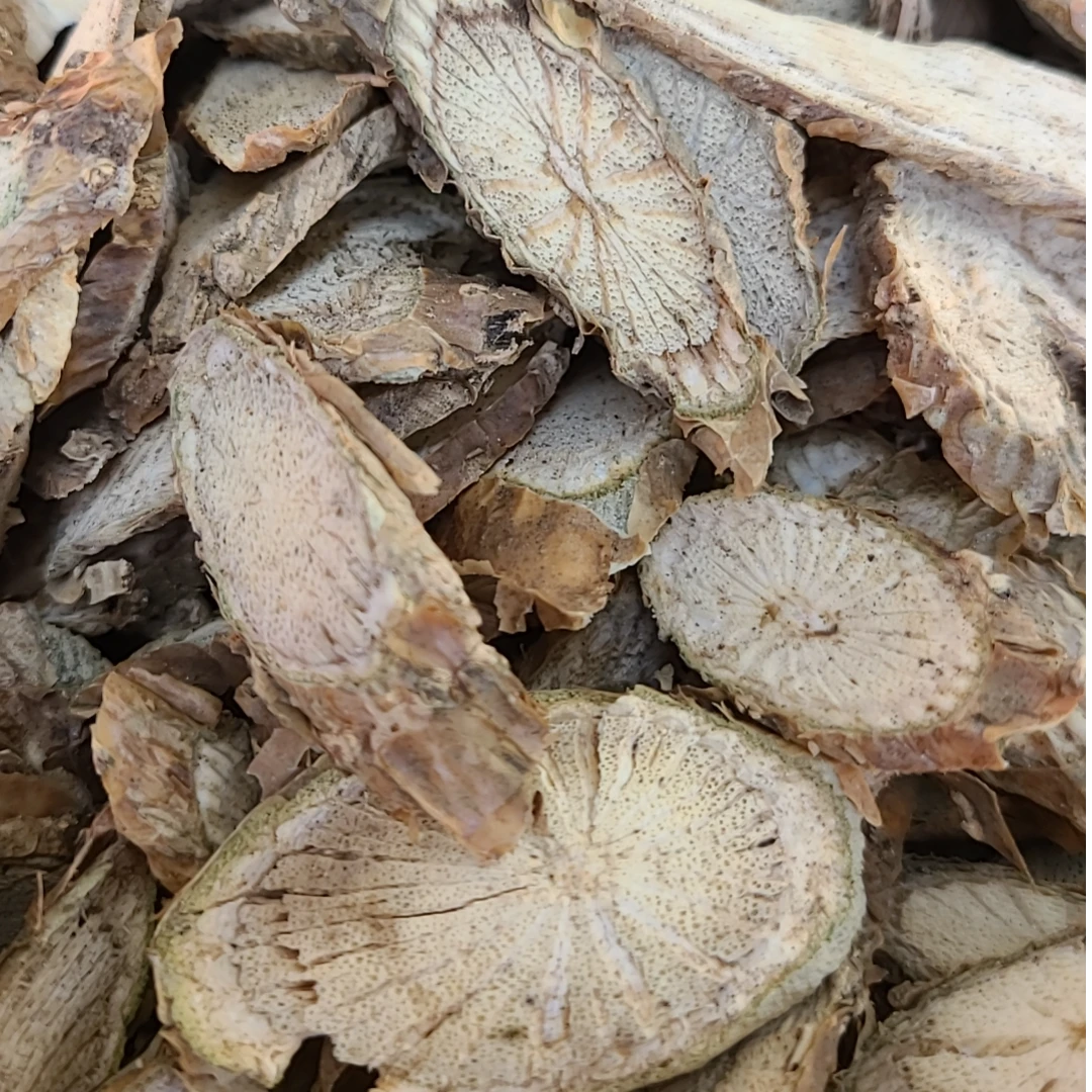 【阿海精选】土特产龍血藤