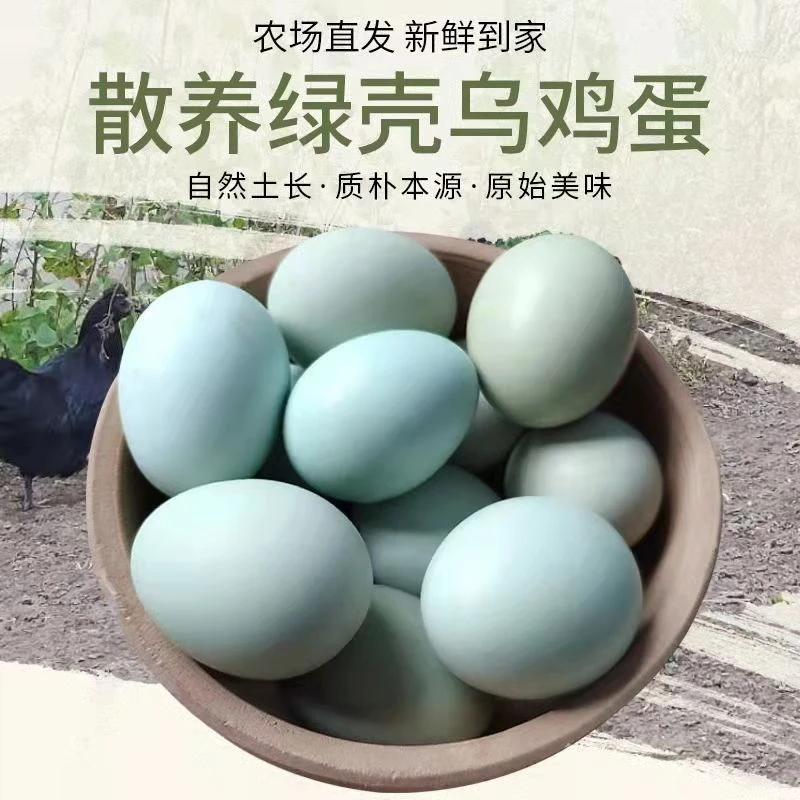 【新店抢购】绿壳鸡蛋土鸡蛋农家山林散养虫草蛋乌鸡蛋营养美味 4枚