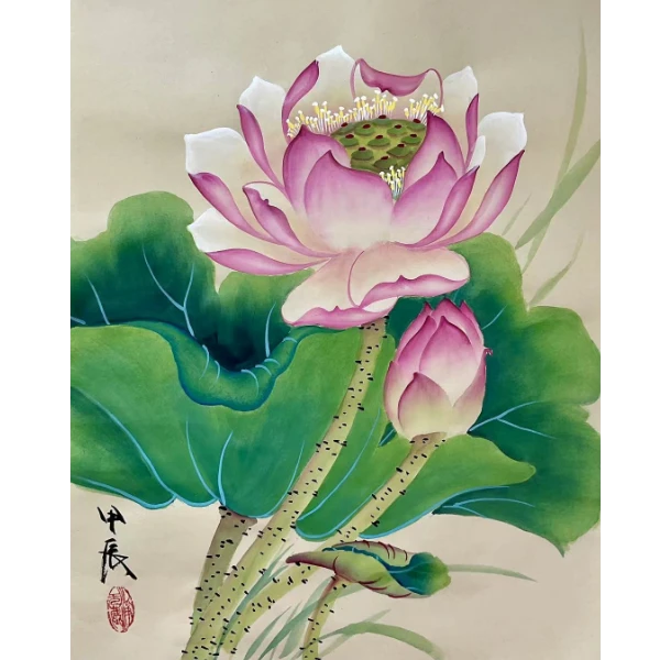 （苹果专拍）写意荷花的画法详解