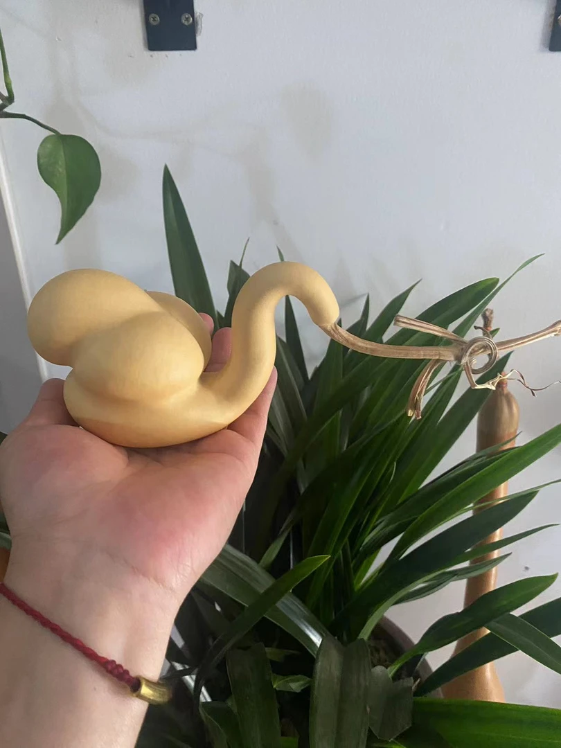 直间播葫芦专用链接，非直播时间请勿拍！