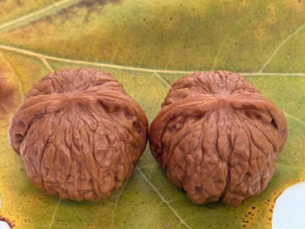 文玩精品乾隆核桃