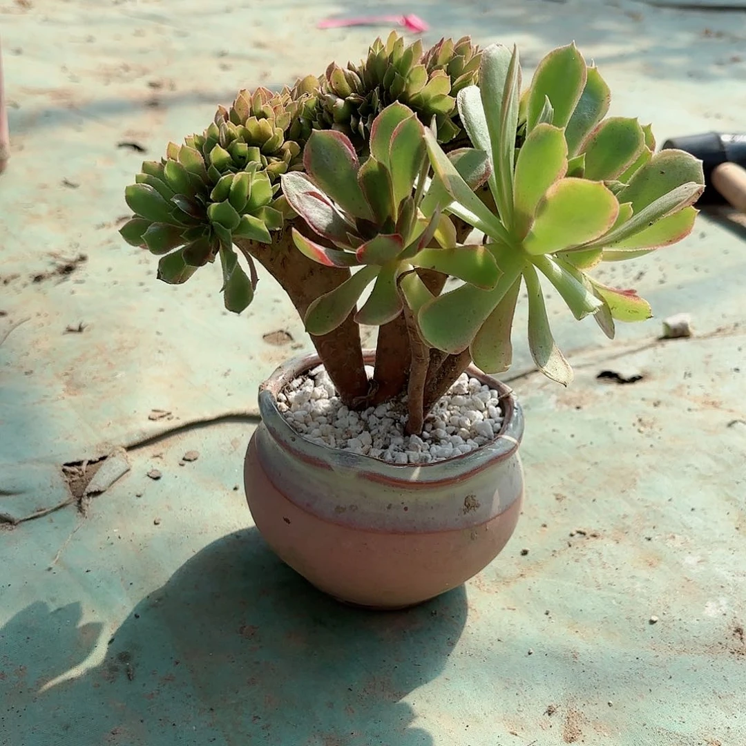 哈哈哈哈哈哈哈哈哈