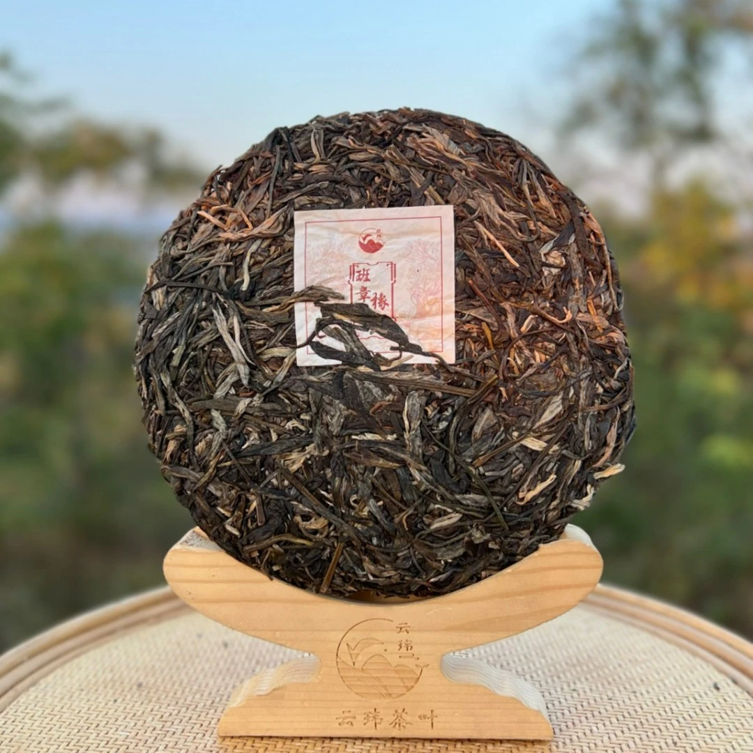 云玮茶叶班章橡筋 2019年头春古树普洱茶生茶（紧压茶）400g 珍藏