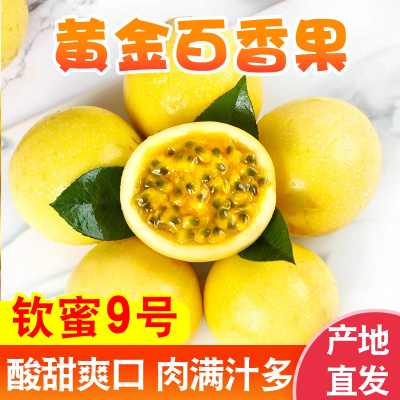钦蜜9号黄金百香果新鲜应季多汁香甜皱皮果肉籽精品（10枚/中果）