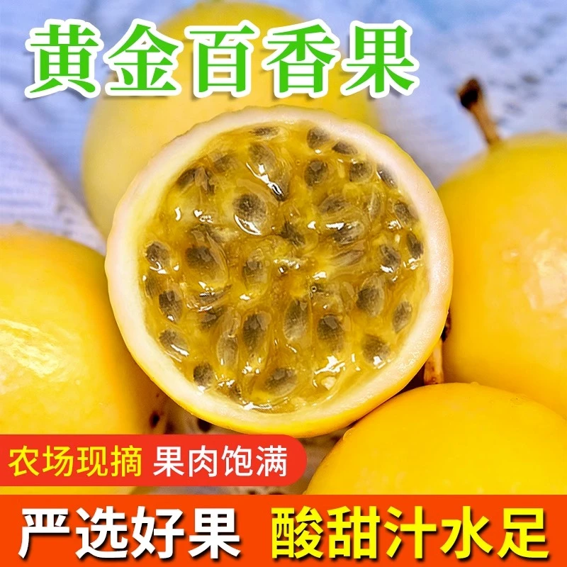 钦蜜9号黄金百香果新鲜应季多汁香甜皱皮果肉籽精品（12枚/小果）g