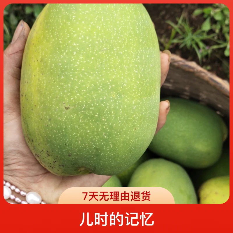 云南酸木瓜特产新鲜水果酸爽解馋泡酒炖鸡