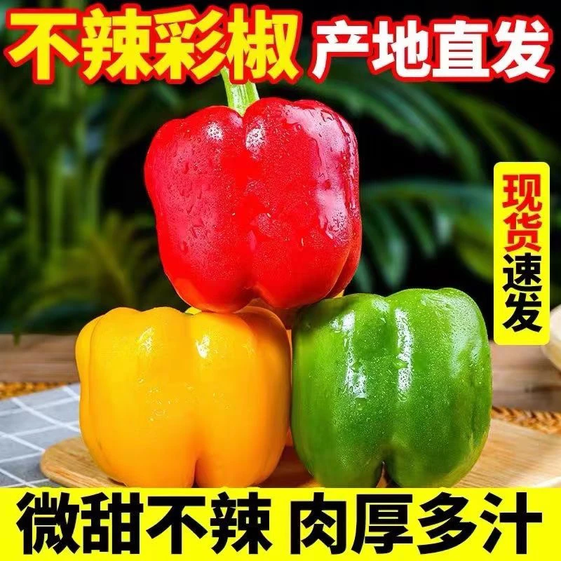 水果彩椒3/5斤自然农法种植山东潍坊包邮
