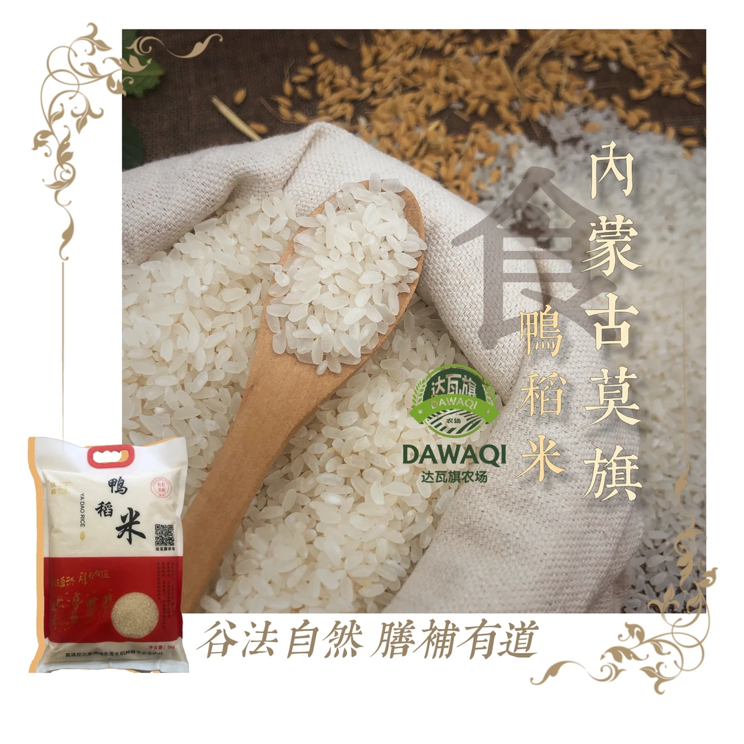 达瓦旗农场天然鸭稻米5KG北纬48度寒地特产优质软糯真空包装新米