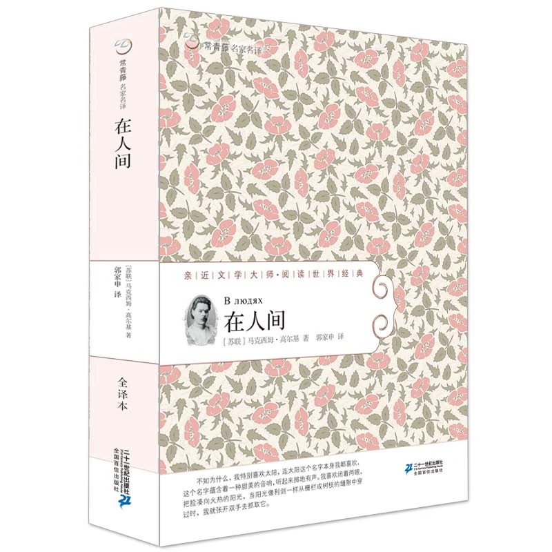 【21世纪】常青藤系列 青少年儿童文学故事书