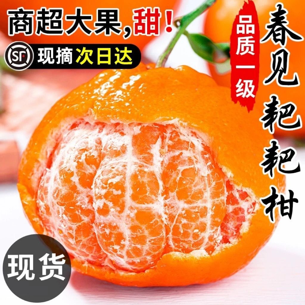 【新鲜现摘】正宗四川春见耙耙柑桔子孕妇眉山粑粑柑丑橘子不知火