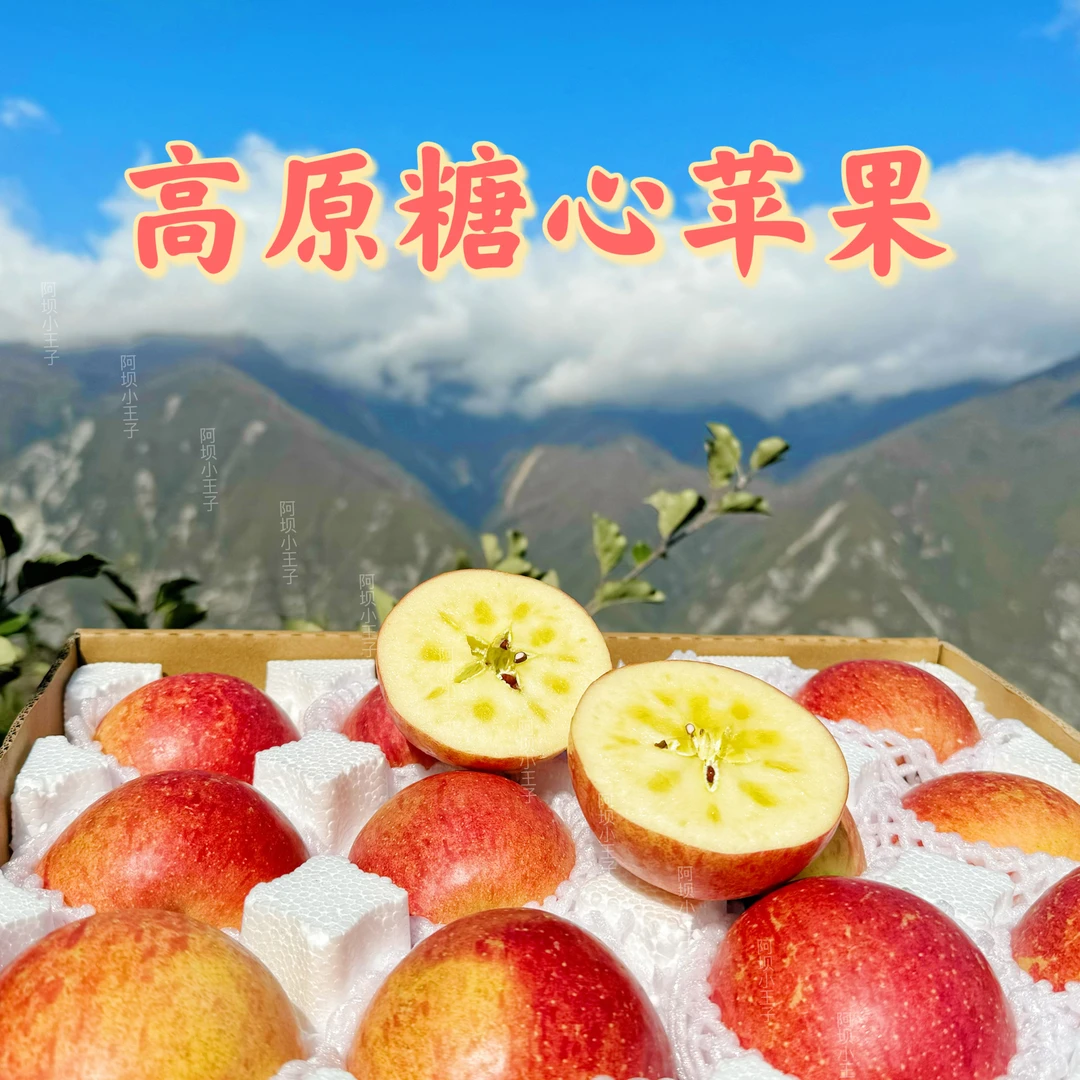 【高原糖心苹果】阿坝小王子高原糖心苹果12枚/18枚22枚/7-10斤左右