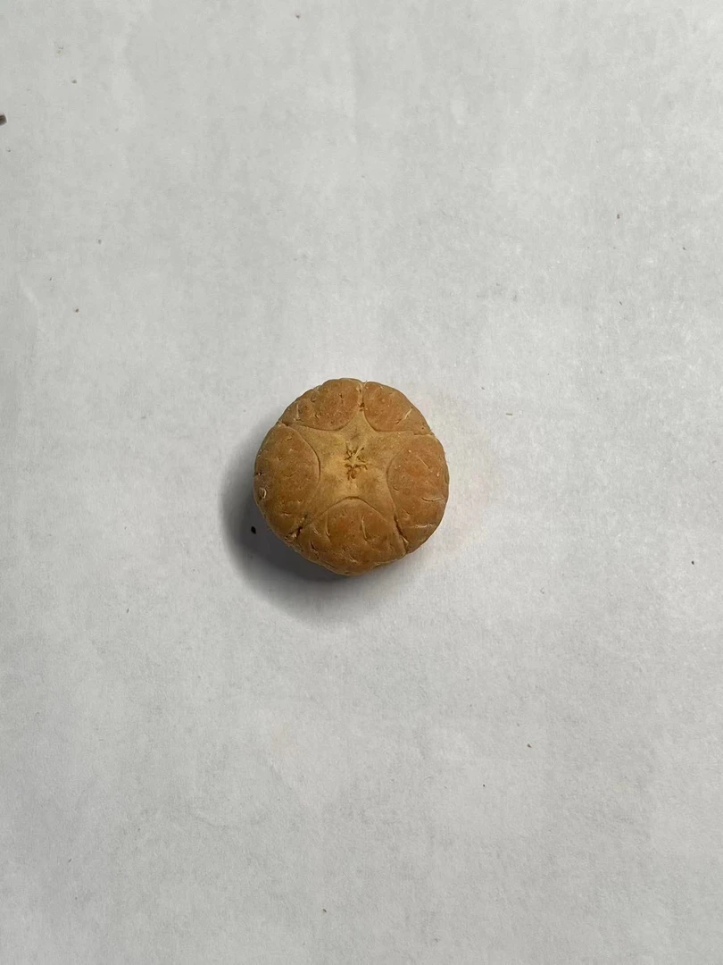 【WF520314】24年新籽直径20mm厚14mm五星单颗尼泊尔凤眼菩提