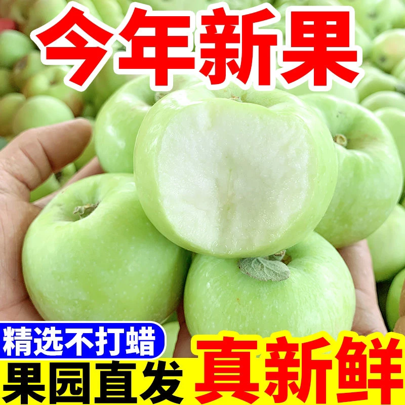 【农之飘】山东青苹果枣翠绿酥脆 2250g