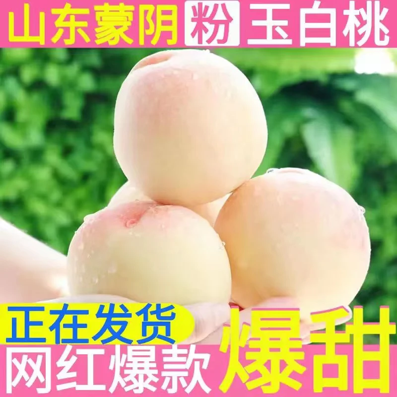 【农之飘】蒙阴白桃脆甜白玉桃 顺丰包邮2250g