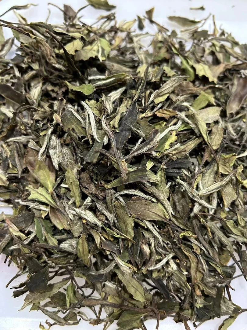 一点五系编号018/2021年高山白牡丹