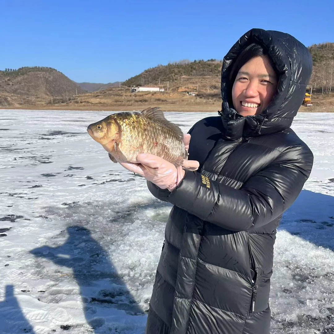 河北承德二道湾水库野生鱼 鲫鱼 4-8条 2斤