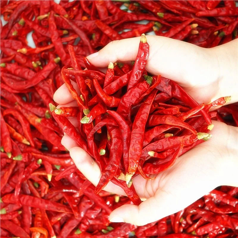 【新品】正宗超辣特香魔鬼干辣椒传统农家晾晒香味持久皮厚耐煮工厂
