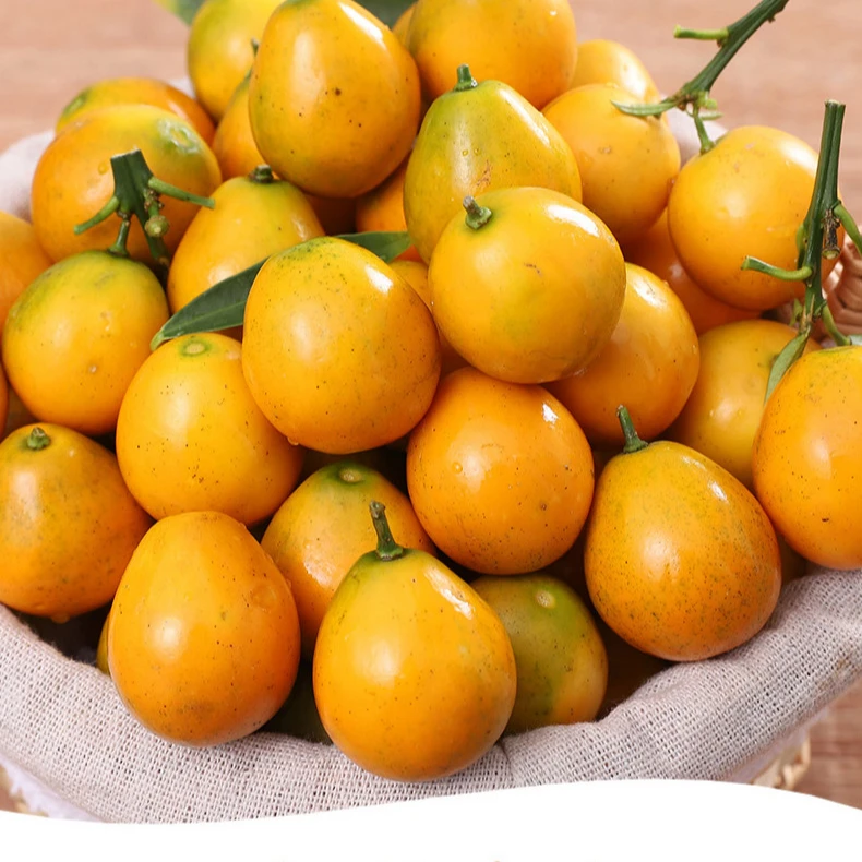 玺韵水果-山东糖依脆皮金柑（一箱装2斤左右）