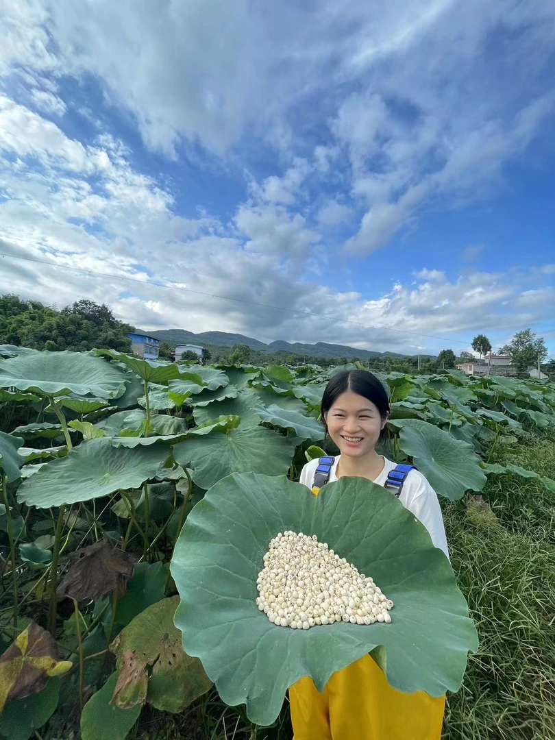 农家莲子去芯无添加500克