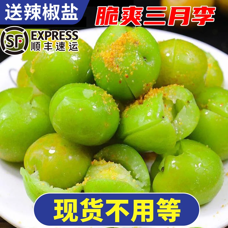 【现货顺丰快递】广东省信宜钱排三月李青李子脆爽李子早李现摘现发