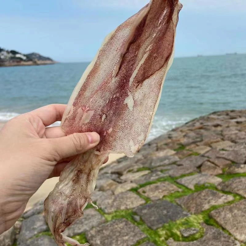 东山岛鱿鱼干 烧烤鱿鱼 海产干货 高品质鲜度好 有嚼劲干鱿鱼专用