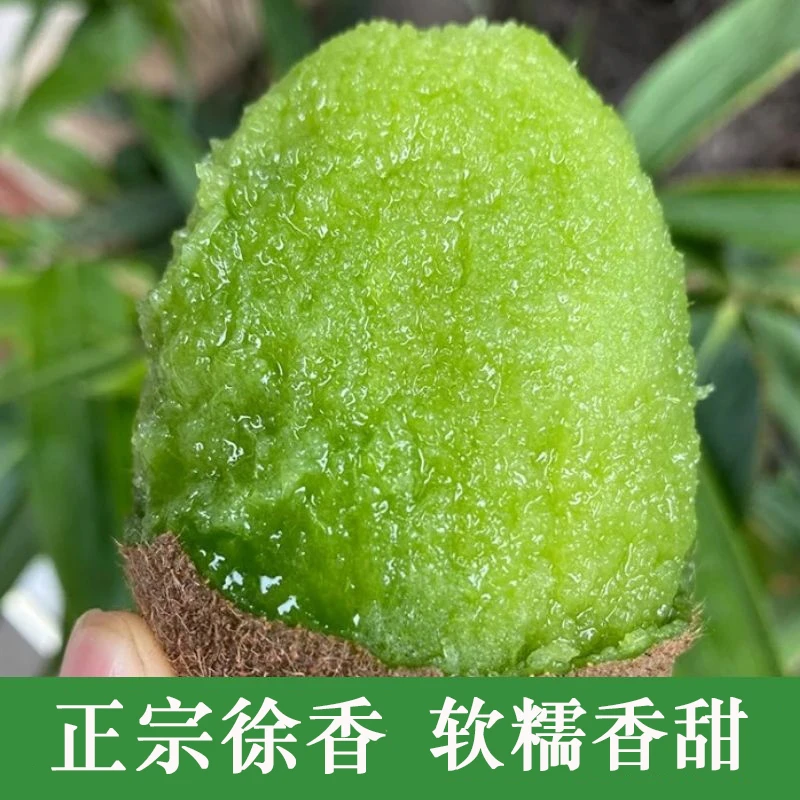 陕西眉县徐香猕猴桃新鲜绿心奇异果弥猴桃5斤当季整箱孕妇水果