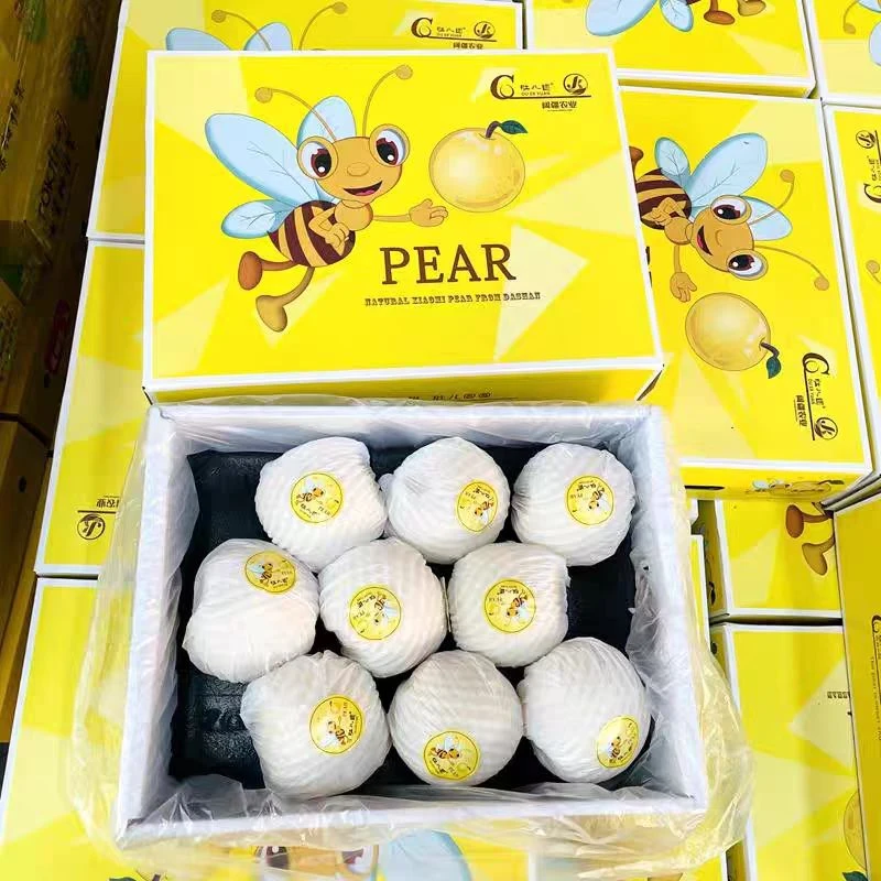 【蜂蜜梨 黄金色泽· 树上新鲜采摘 】皮薄肉酥 超级甜，一口爆出甜蜜汁，自然熟，石家庄同城闪送