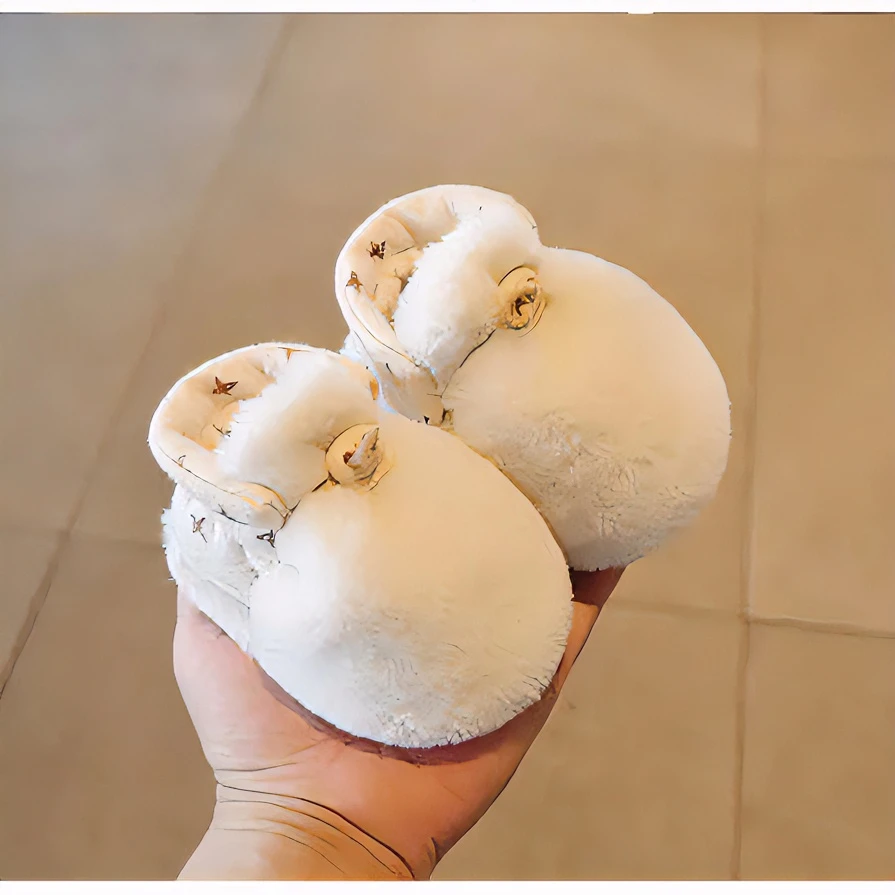 婴儿鞋子0-6个月男女婴幼儿夹棉保暖棉鞋袜套-新生儿宝宝宝宝棉鞋