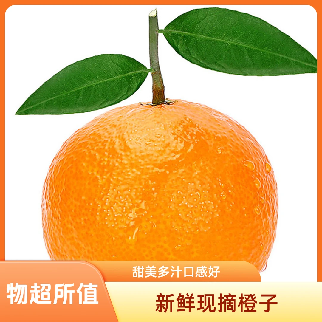 大果冻橙2斤