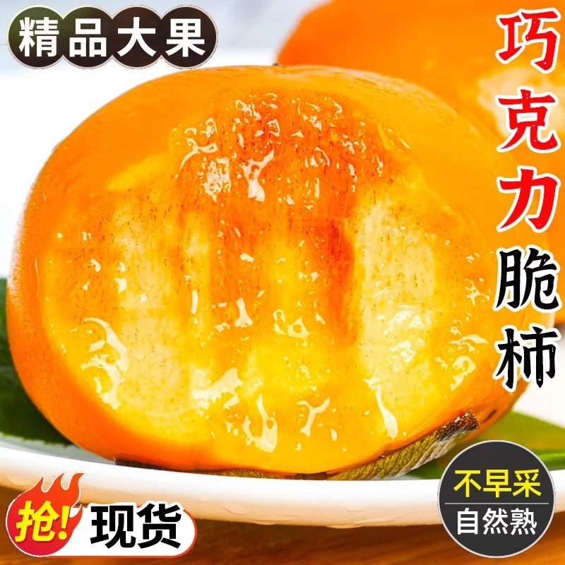 巧克力脆柿子新鲜水果当季冰糖心黄甜硬柿子火晶阳丰特产大软整箱