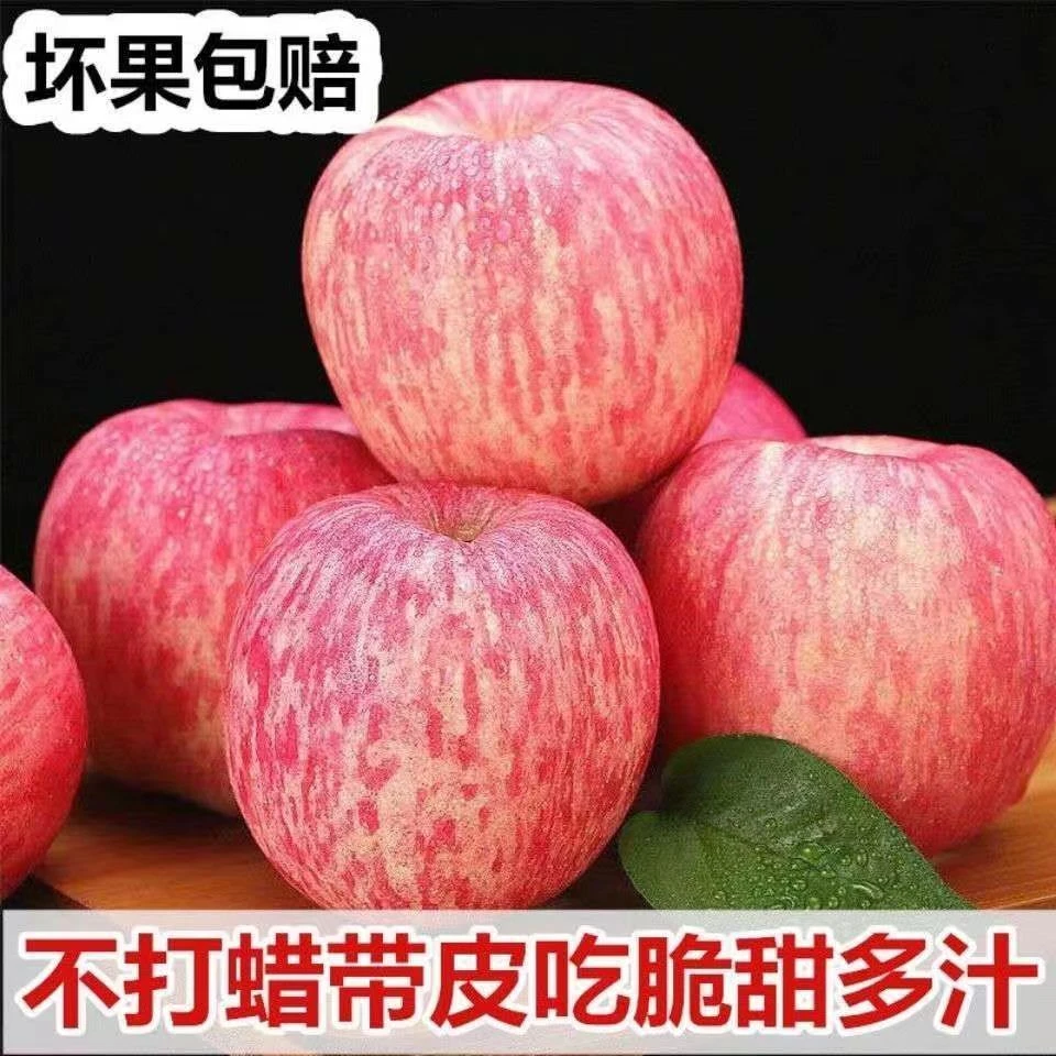 【果园现摘】现摘.现发.新鲜洛川苹果洛川红富士整箱包邮2斤5斤10斤