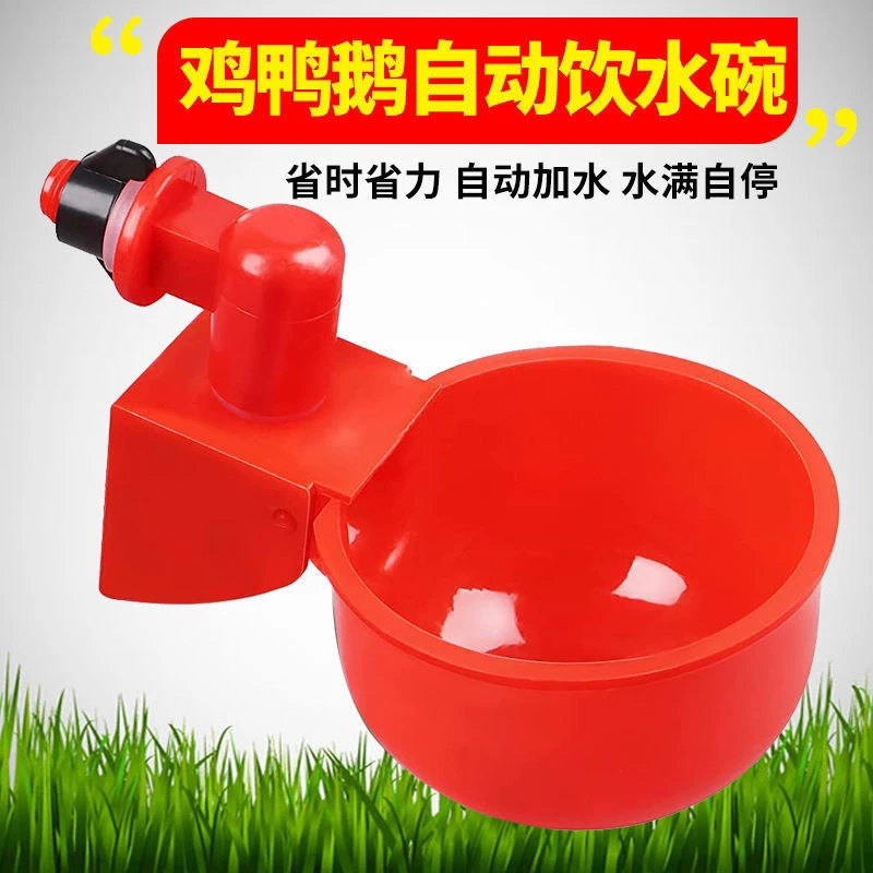 鸡水碗鸡用自动饮水碗鸡水槽鸡鸭鹅喂水碗鸽鹧鸪饮水器喝水壶挂式