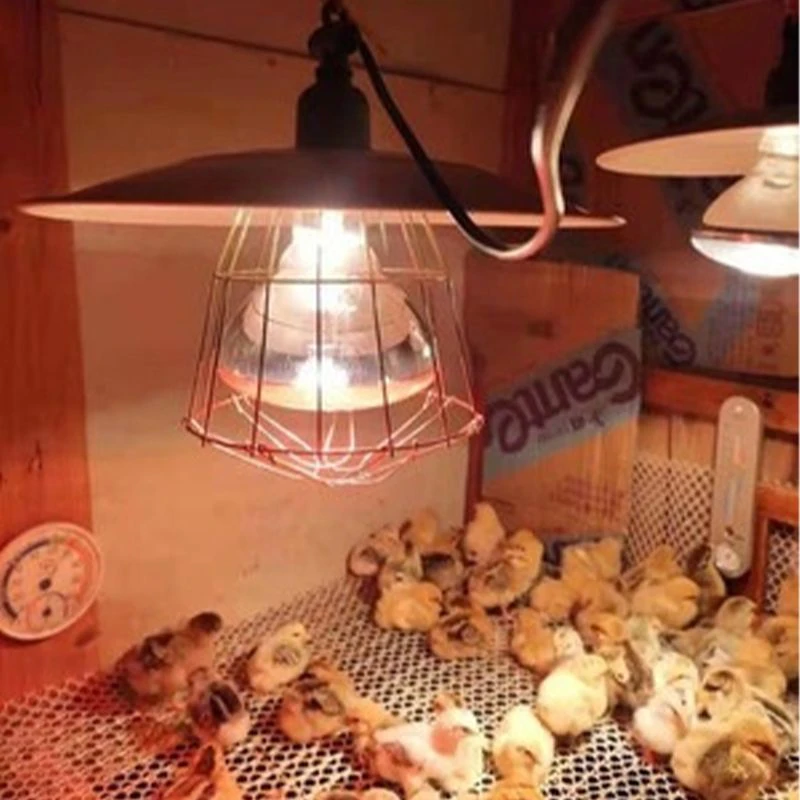 自动控制养殖保温灯套装养鸡育雏保温灯兽用取暖保温灯养殖场专用