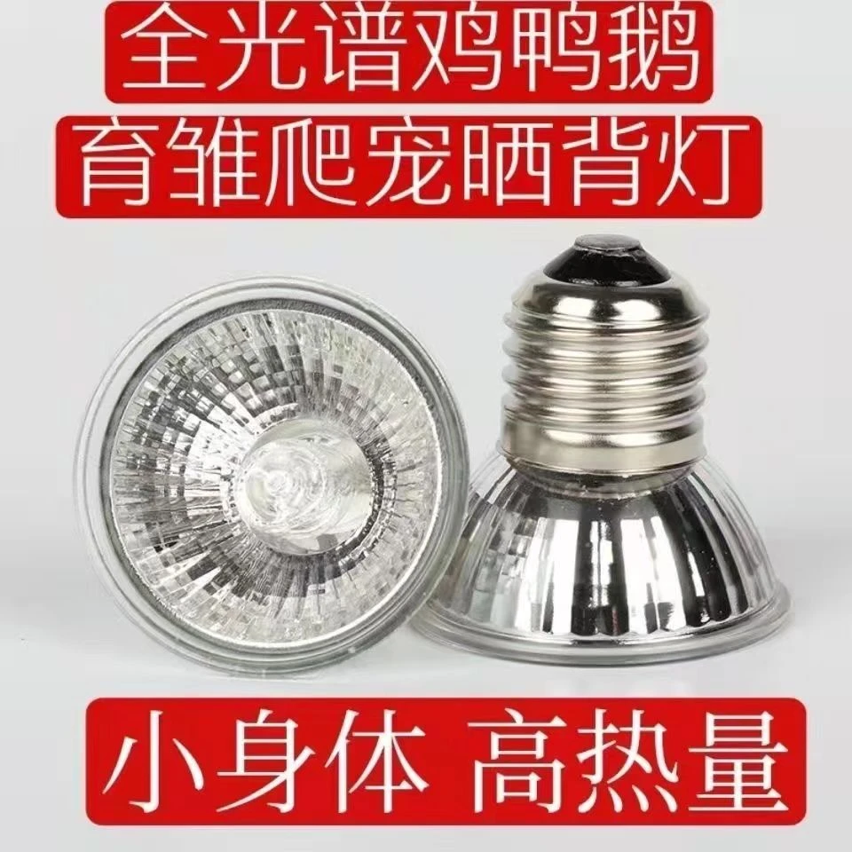 取暖灯泡可杀菌真空育雏用灯升级版便育雏鸡鸭鹅灯取暖乌龟晒背灯