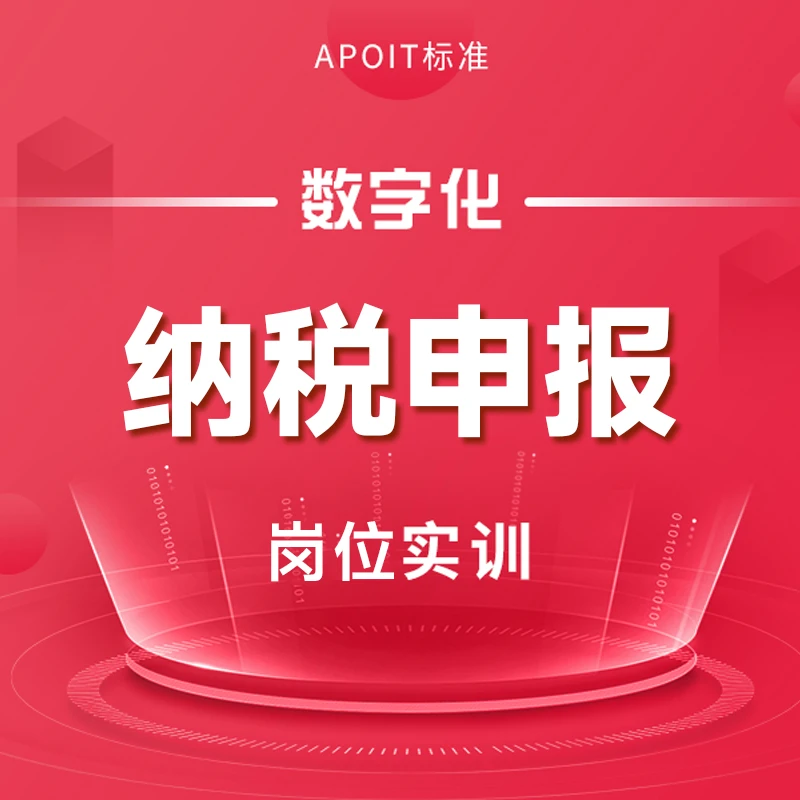 数字化纳税申报系统