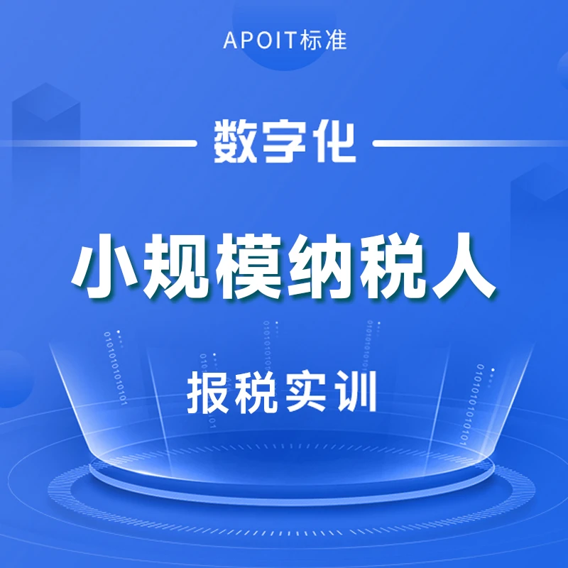 小规模纳税人报税系统