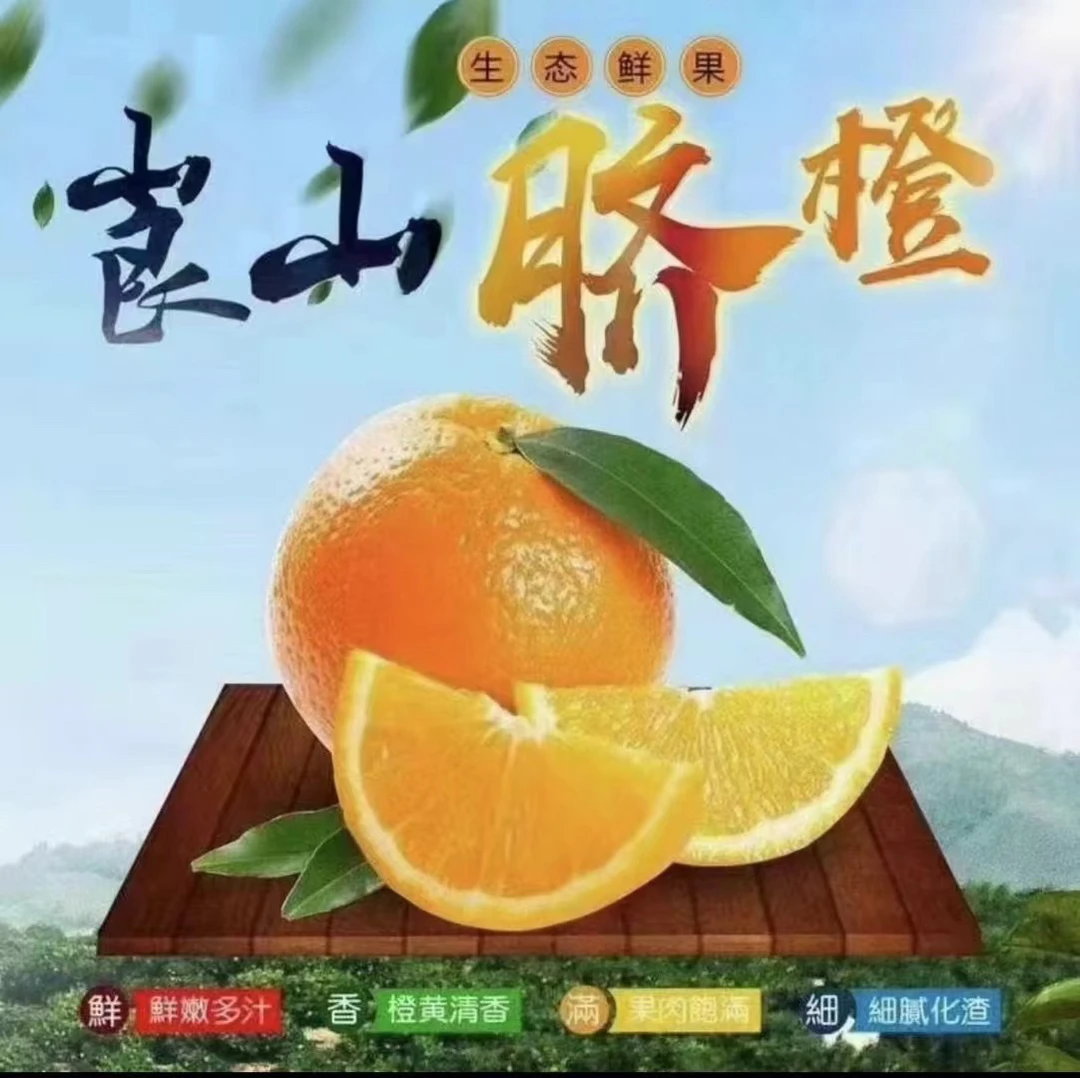 【小酸奶优选】湖南崀山脐橙当季新鲜水果10斤网文果整箱果农产品