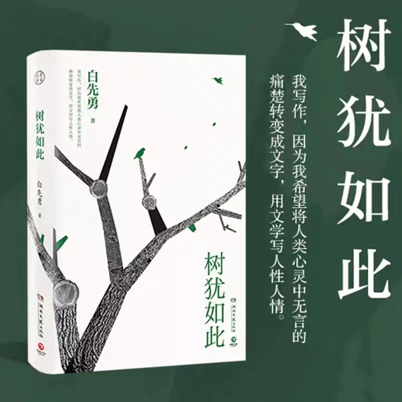 树犹如此  白先勇亲定选本 精装珍藏版 寂寞的十七岁【翘楚】