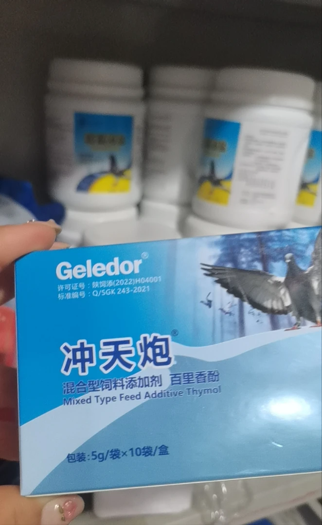 冲天炮：赛鸽飞不高，飞不远，不家飞