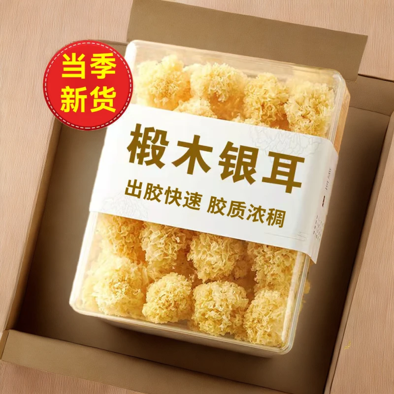 椴木小银耳口感软糯小朵炖煮银耳稠糯白木耳新鲜营养香甜滋养品质